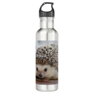 Baby hedgehog   710 ml water bottle