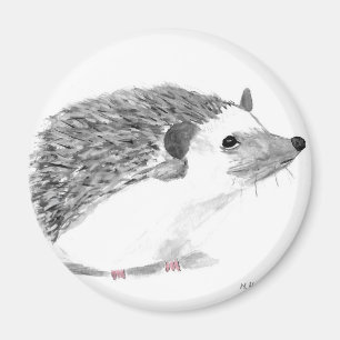 Baby hedgehog animal magnet