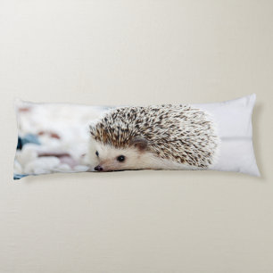 Baby Hedgehog Body Cushion