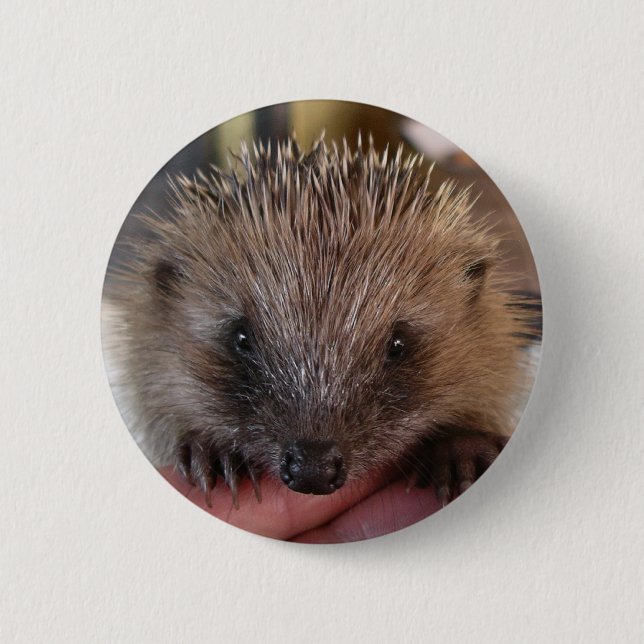 Baby Hedgehog Button (Front)