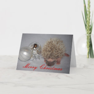 Baby Hedgehog Christmas Card