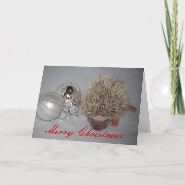 Baby Hedgehog Christmas Card (Front)