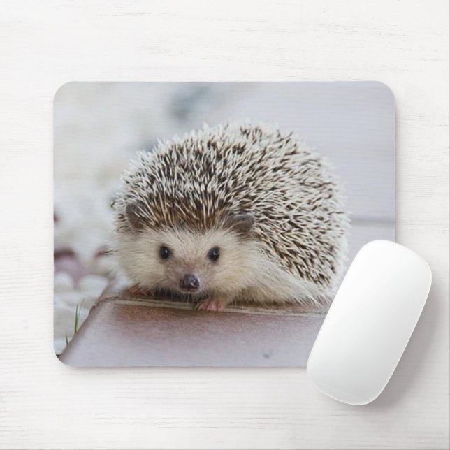 Baby hedgehog  mouse pad (With Mouse)