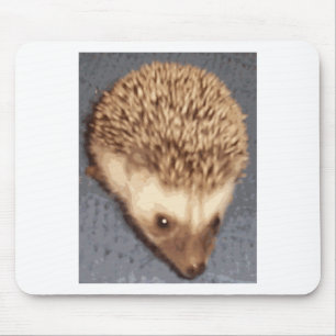 baby hedgehog mouse pad