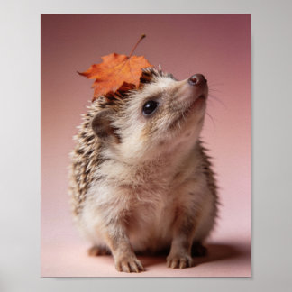 Baby Hedgehog Nursery Print – Wall Art