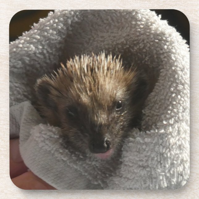 Baby Hedgehog on Blanket Hard Plastic Coaster (Front)