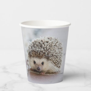 Baby hedgehog paper cups
