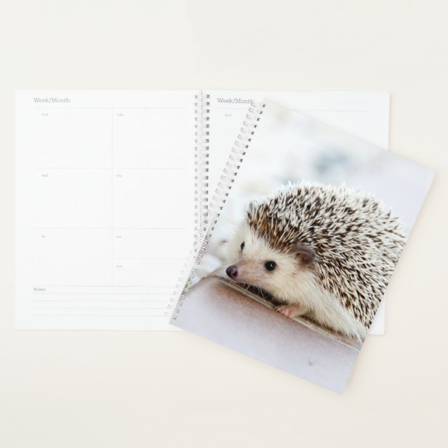 Baby Hedgehog Planner (Display)
