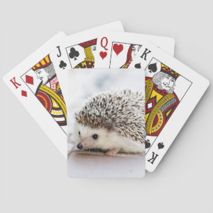 Baby Hedgehog Playing Cards