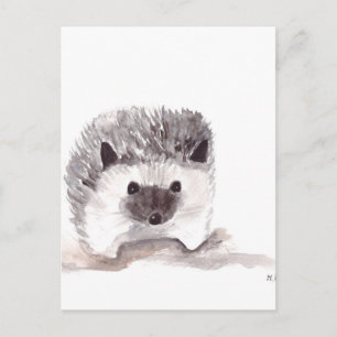 baby hedgehog postcard