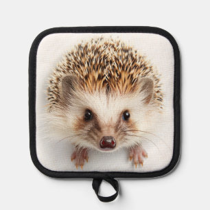 Baby Hedgehog Pot Holder