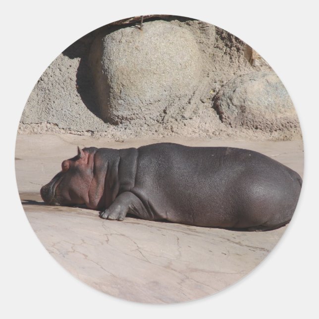 Baby Hippo Classic Round Sticker (Front)