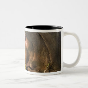 Baby Hippo out of water away from adults along Two-Tone Coffee Mug
