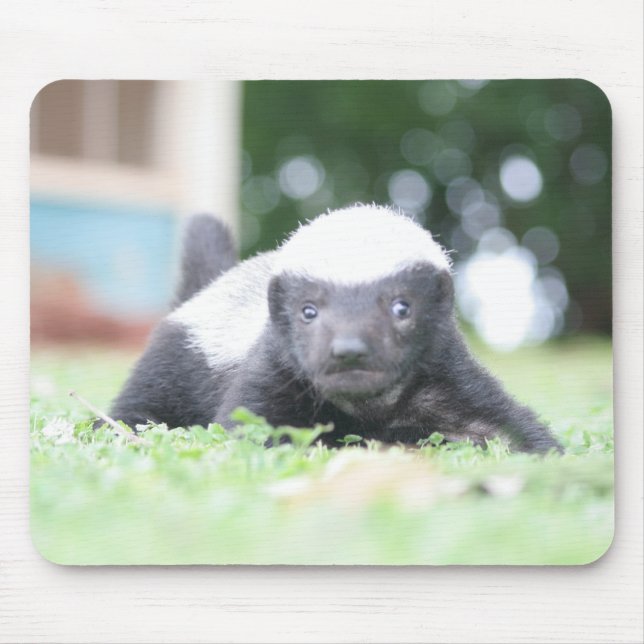 Baby honey badger mouse pad (Front)
