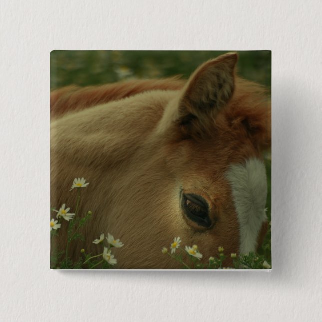 Baby Horse Square Pin (Front)