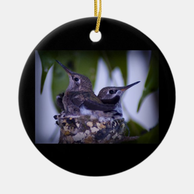 Baby Hummingbirds Ceramic Tree Decoration (Front)