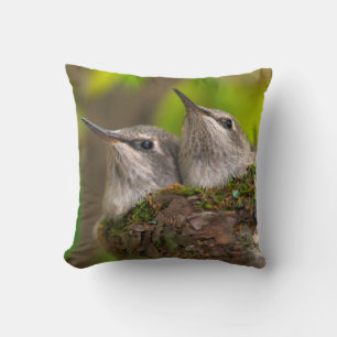 Baby hummingbirds cushion