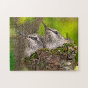 Baby hummingbirds jigsaw puzzle