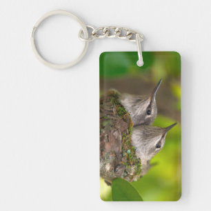Baby hummingbirds key ring