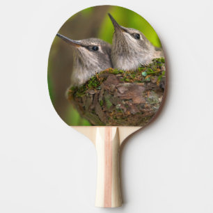 Baby hummingbirds ping pong paddle