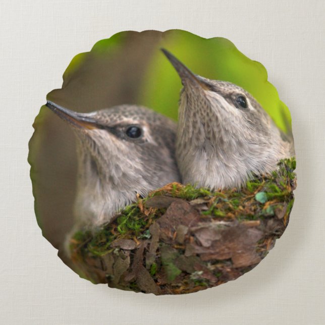 Baby hummingbirds round cushion (Front)