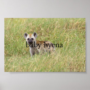 baby hyena poster