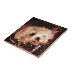 Baby in a Bag Maltese Puppy Tile
