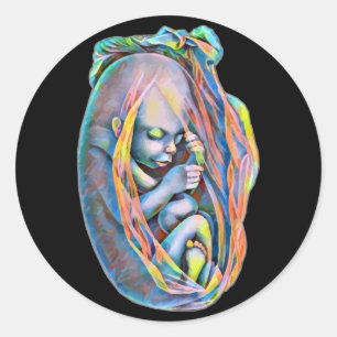Baby In The Womb Abstract Human Anatomy Art Classic Round Sticker