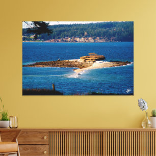 Baby Island on Whidbey Island #1 Canvas Print