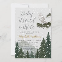 Baby It’s Cold Outside Snowy Owl Baby Shower