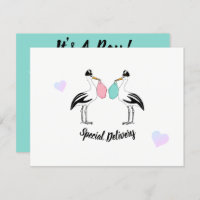 BABY Its A Boy Stork Delivery Sprinkle Shower