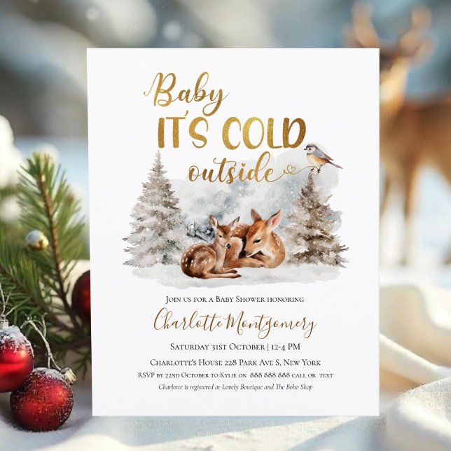 Baby it's cold outside Baby Shower Invitations (Creator Uploaded)