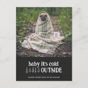 Baby Its Cold Outside Cute Pet Holiday Photo Postcard