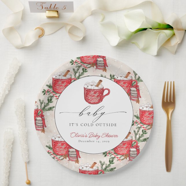 Baby It's Cold Outside Winter Baby Shower  Paper Plate (Wedding)