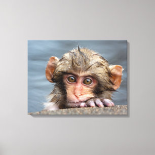 Baby Japanese Macaque Jigokudani Yaen-Koen Canvas Print