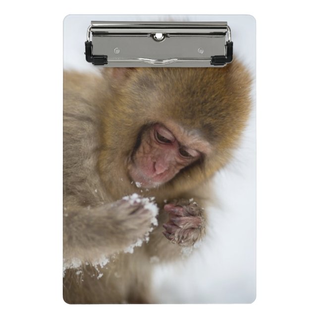 Baby Japanese Macaque | Snow Monkey Mini Clipboard (Front)