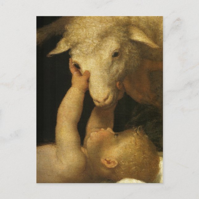 Baby Jesus Touches Lamb Holiday Postcard (Front)