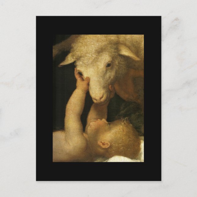 Baby Jesus Touches Lamb Postcard (Front)