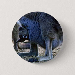 Baby kangaroo in mother's pouch - Australia 6 Cm Round Badge