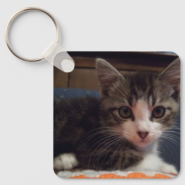 Baby Keeno Kitten Keychain (Front)