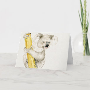 Baby Koala   Cute & Furry Card