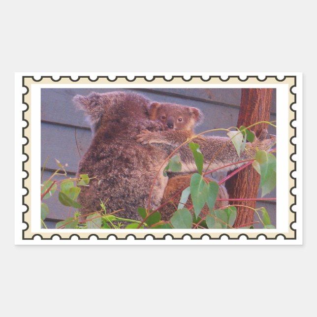 Baby koala Fake stamp  Rectangular Sticker (Front)
