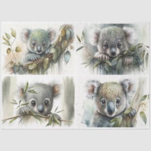 baby Koalas Tissue Paper