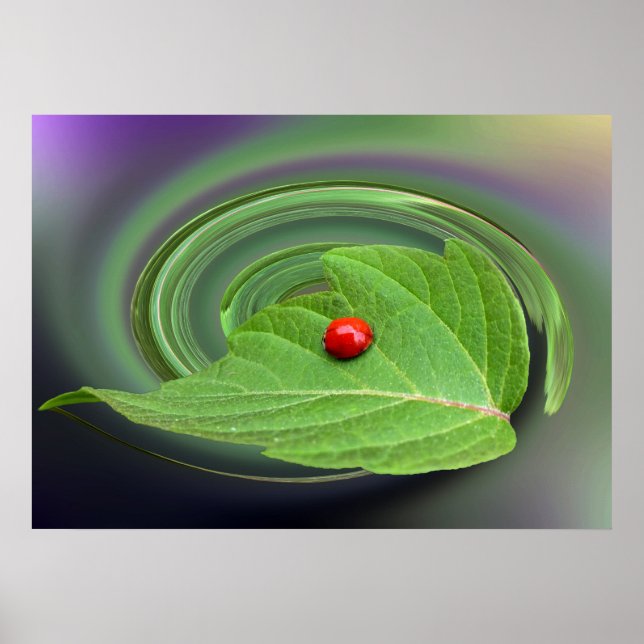 baby ladybug poster (Front)