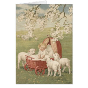Baby Lamb Dogwood Tree Field