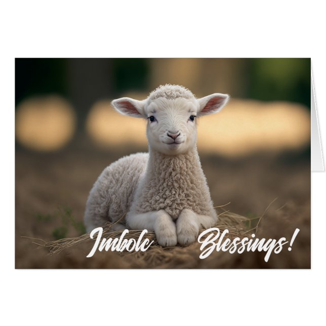 Baby Lamb Imbolc Blessings (Front Horizontal)