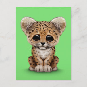 Baby Leopard Cub on Green Cub Postcard