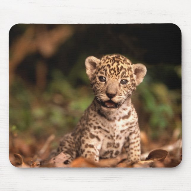 Baby Leopard Mousepad (Front)