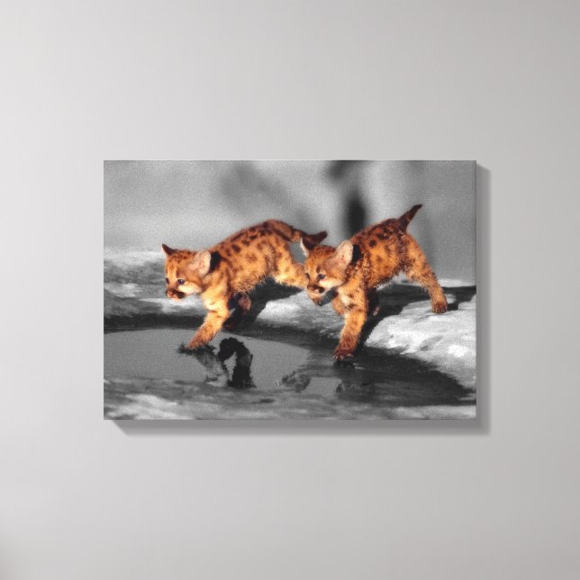 Baby Leopards Canvas Print (Front)