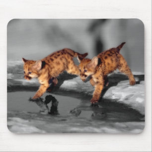 Baby Leopards Mouse Pad
